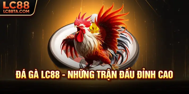 Đá gà LC88 - Những trận đấu đỉnh cao