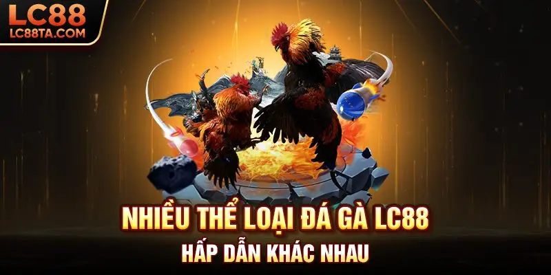 Nhiều thể loại đá gà LC88 hấp dẫn khác nhau